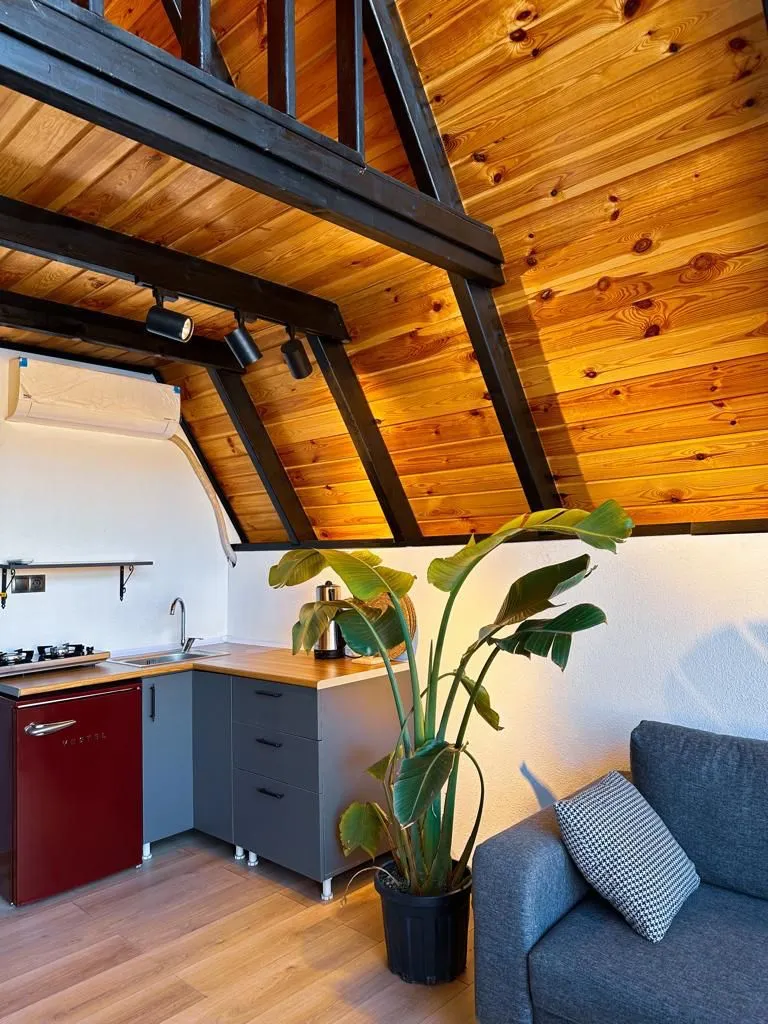 Sapanca Deluxe Bungalov — fotoğraf 4