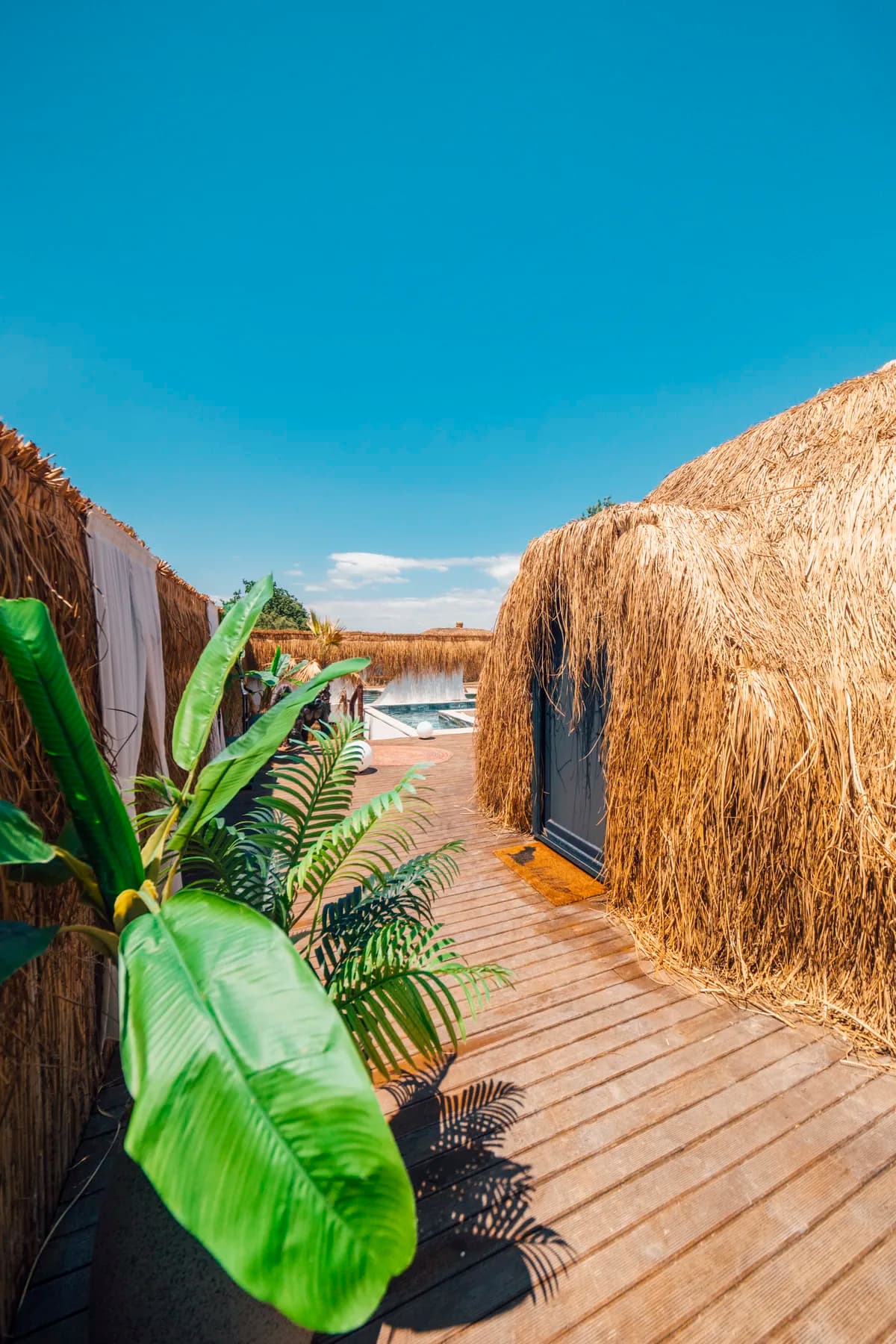 Sapanca Bali Konseptli Dome — fotoğraf 3